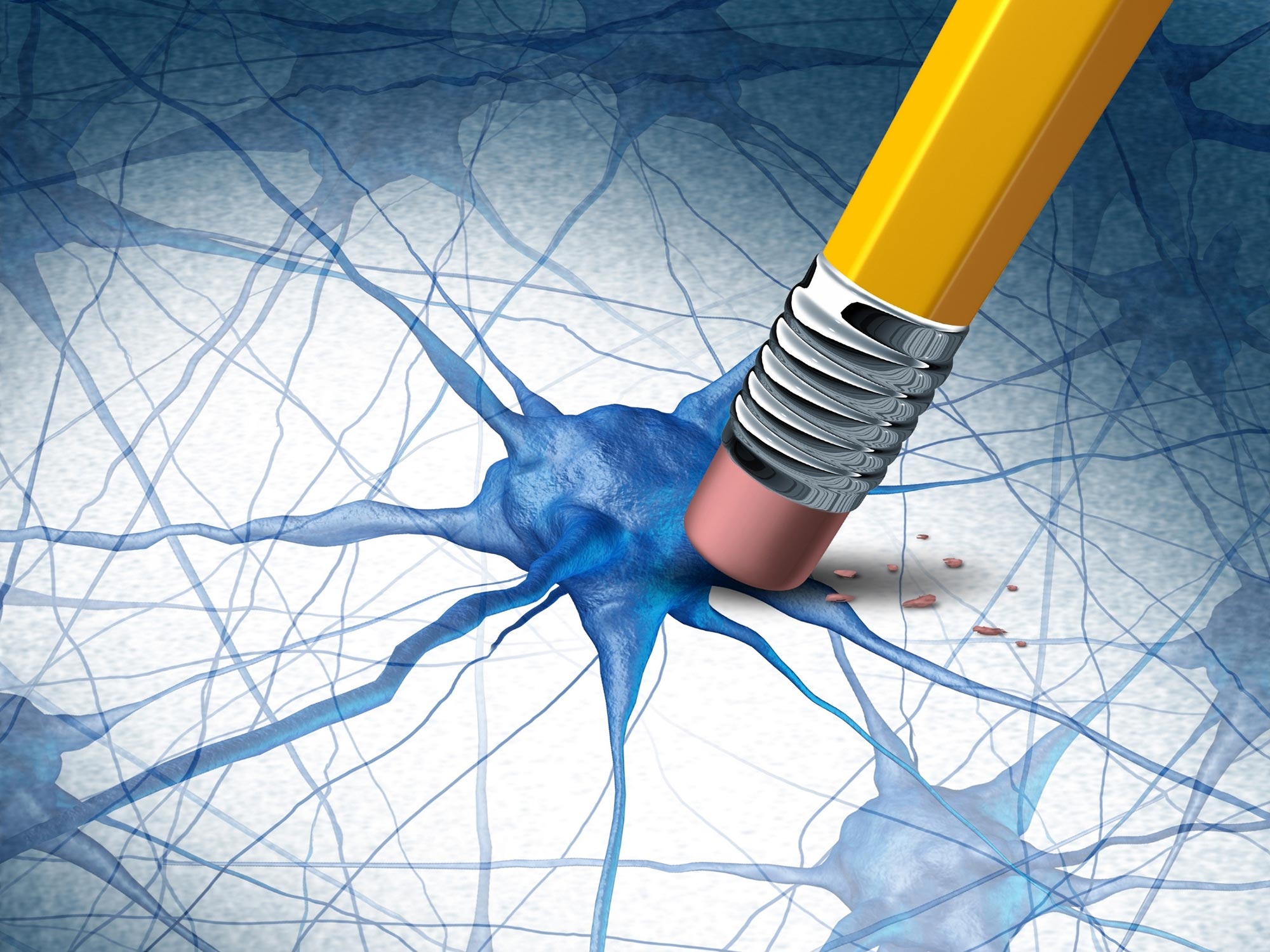 阿茲海默症的突破：科學家發現關鍵蛋白質可以預防大腦中有毒的蛋白質團塊