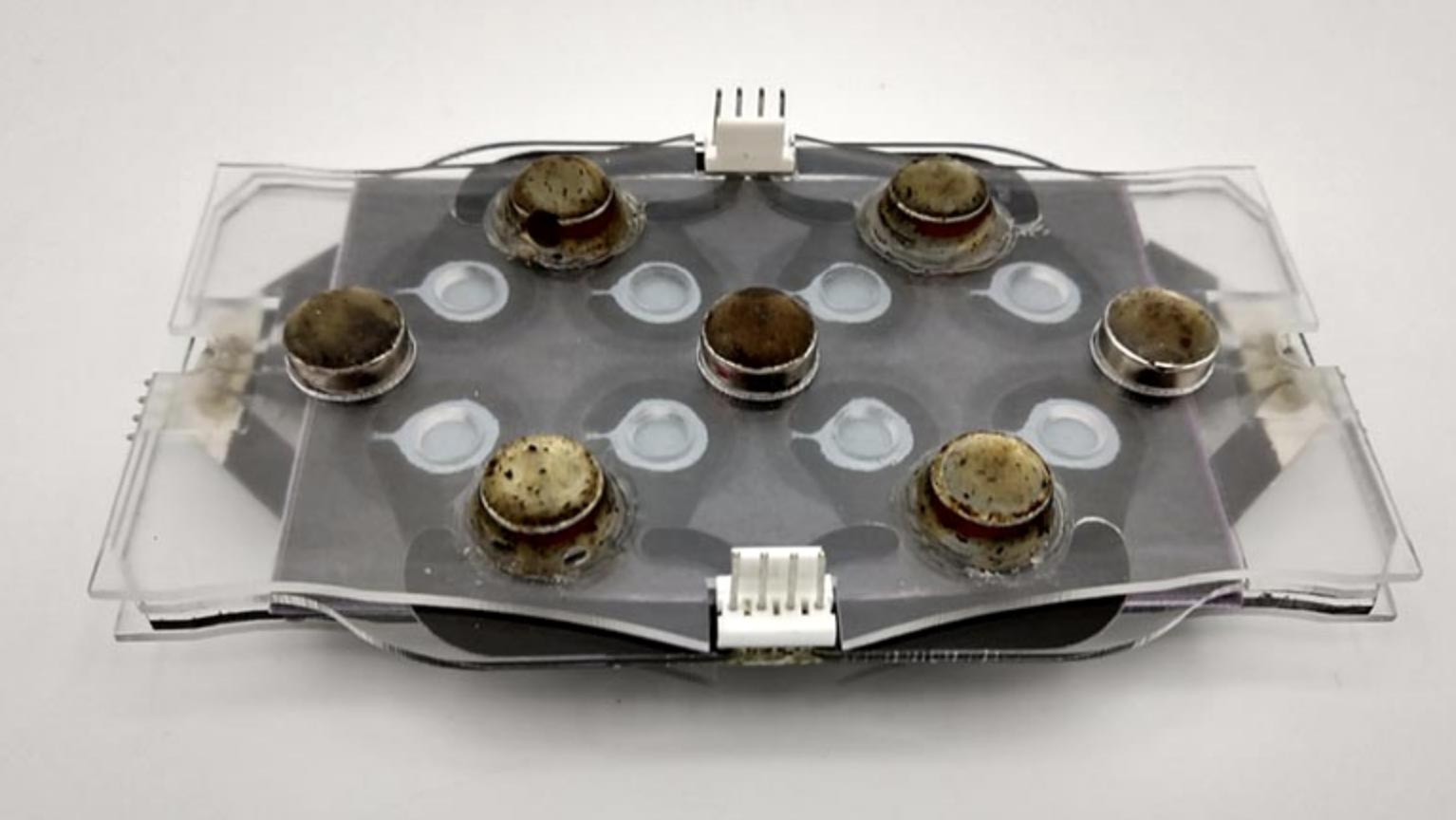 新設備提供了更快的方法來檢測抗生素耐藥細菌