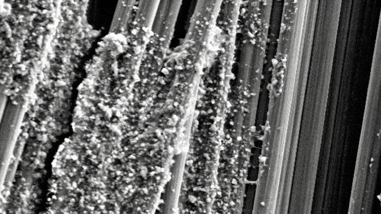再生木廢物的細胞納米晶體使碳纖維複合材料更堅硬