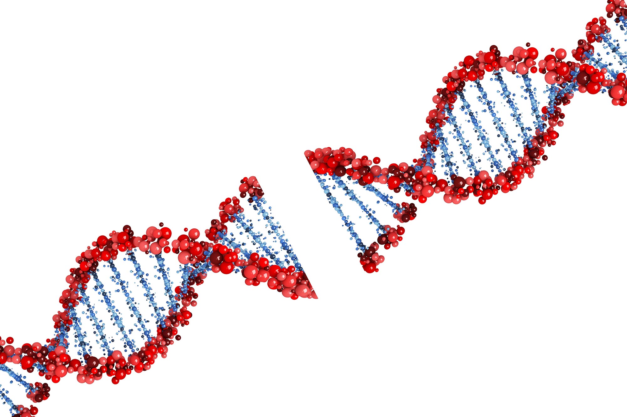 腦細胞捕捉其DNA以產生記憶