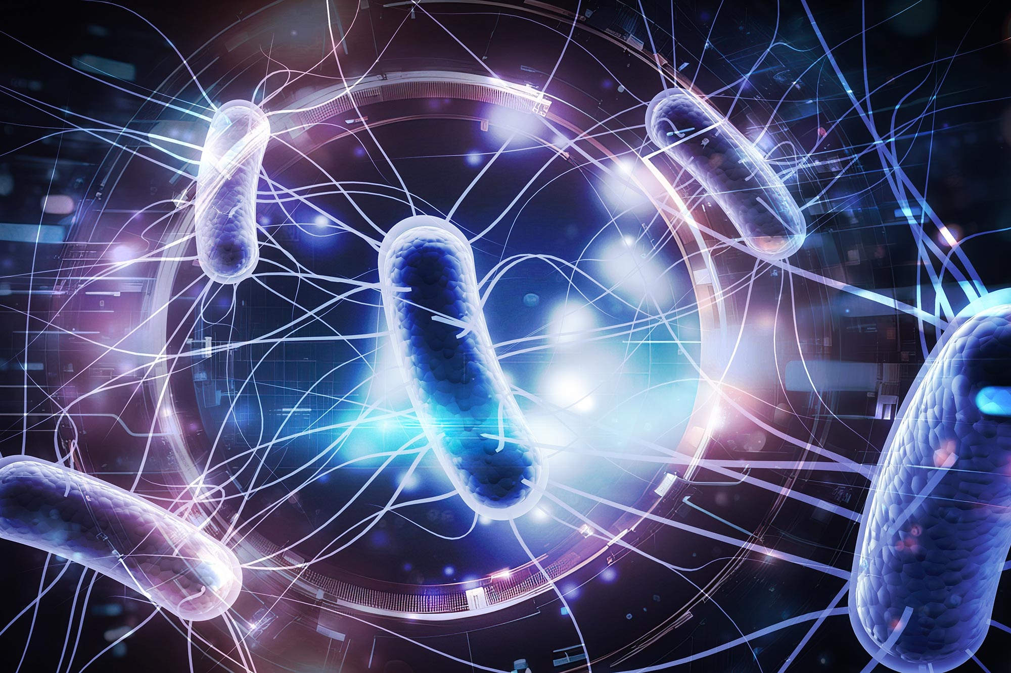 自然產生的細菌只需一劑即可完全根除小鼠體內的腫瘤