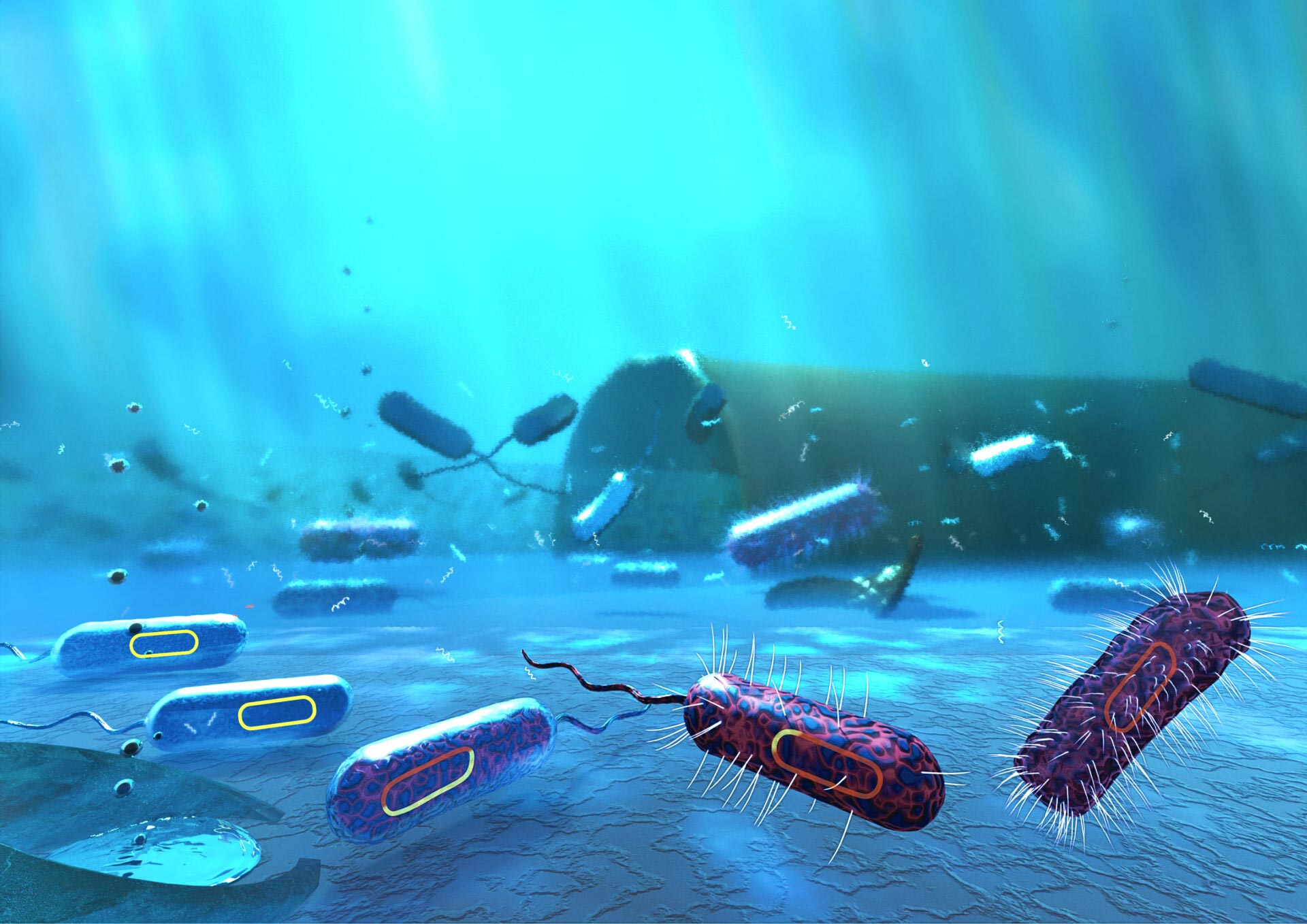 基因轉移拖船：廢水在“超級蟲”病原體演化中的作用