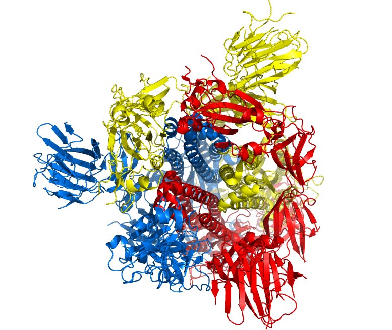 未來Covid-19的目標迅速通過新計算機模擬迅速識別