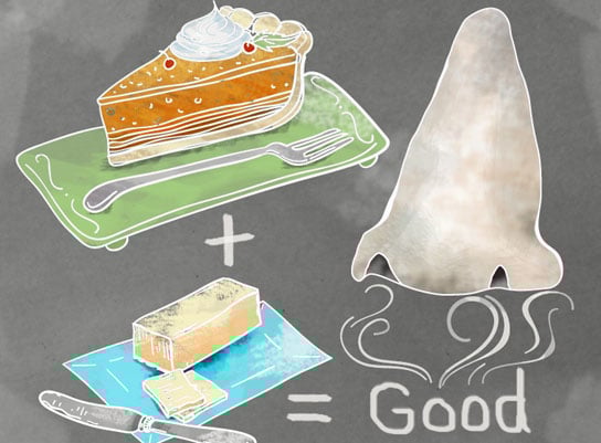 研究人員使用遺傳編程來弄清楚什麼味道很好